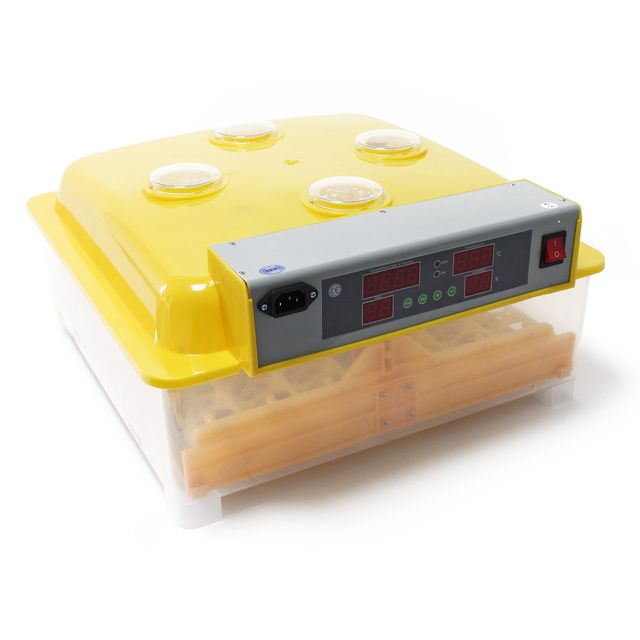 Incubadora automática capacidad para 48 huevos