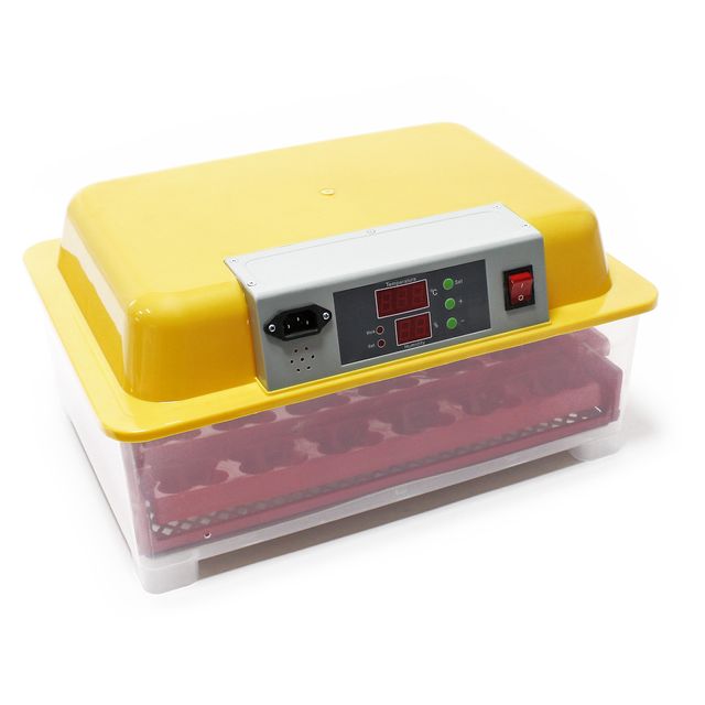 Incubadora automática capacidad para 24 huevos