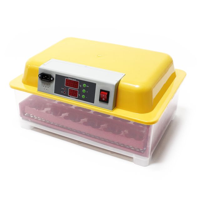 Incubadora automática capacidad para 24 huevos