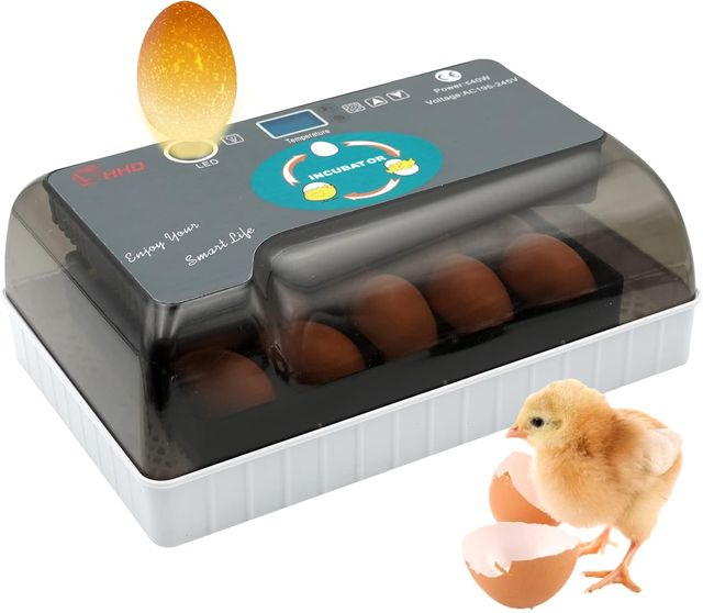 Incubadora de 12 Huevos Giro automático del Huevo