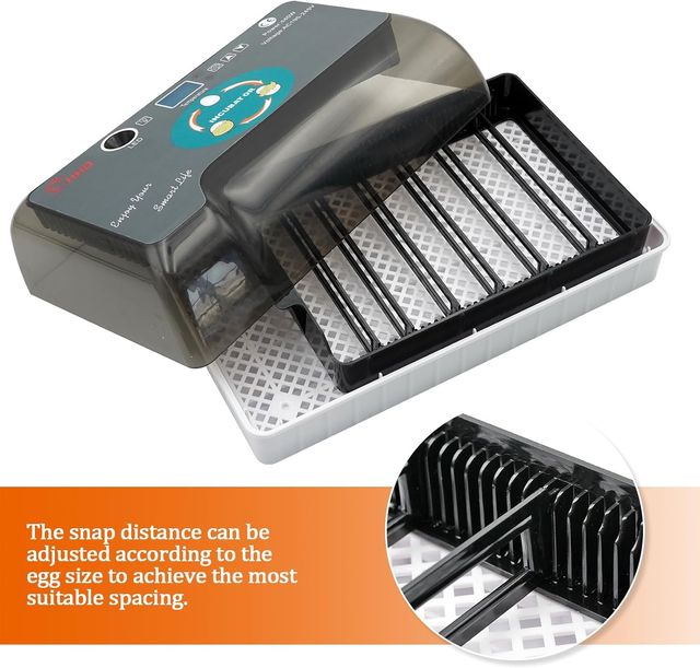 Incubadora de 12 Huevos Giro automático del Huevo