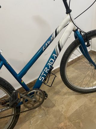 bici paseo urbana