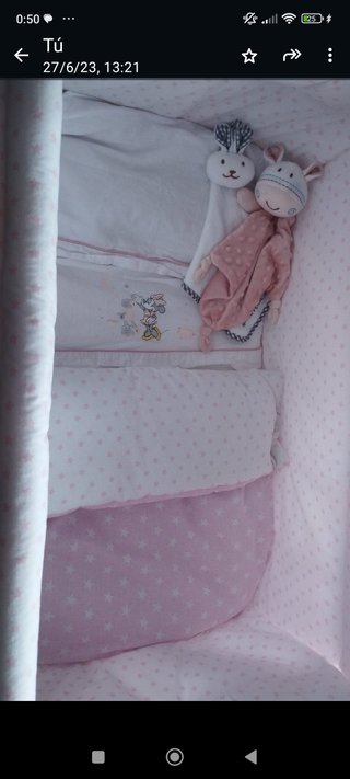Cuna rosa bebe
