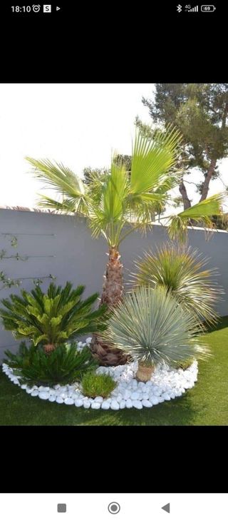 Matenimentos jardinería 
Dosanveira.es
637588991