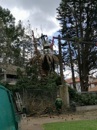 Matenimentos jardinería 
Dosanveira.es
637588991