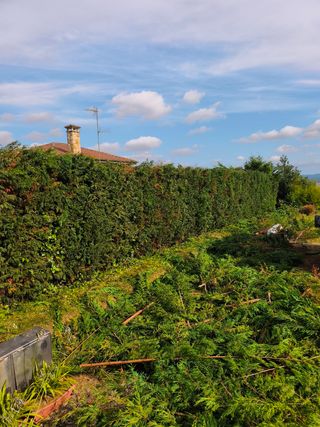 Matenimentos jardinería 
Dosanveira.es
637588991