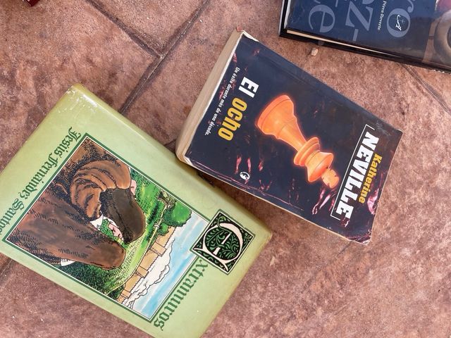 LIBROS,grandes clásicos. OFERTA LOTE 20€