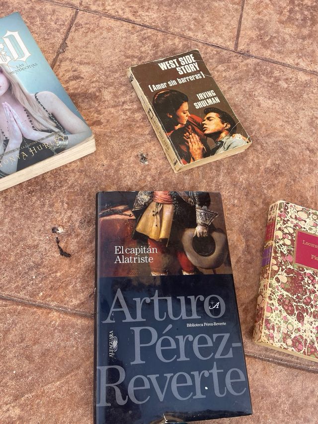 LIBROS,grandes clásicos. OFERTA LOTE 20€