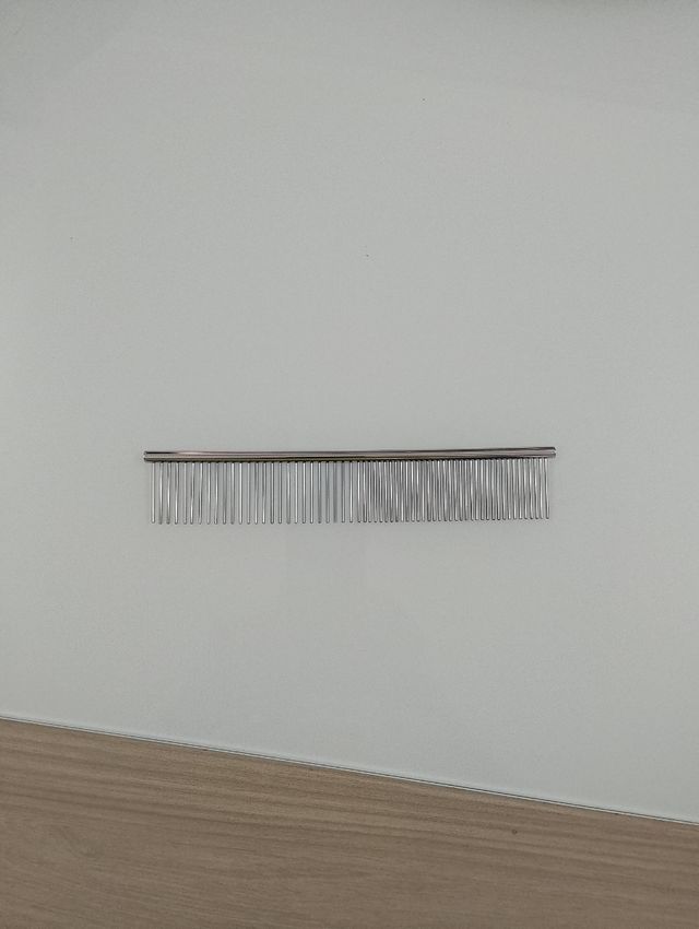 Articolo per animali