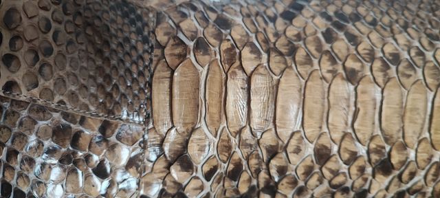 Stivali texani donna in rettile