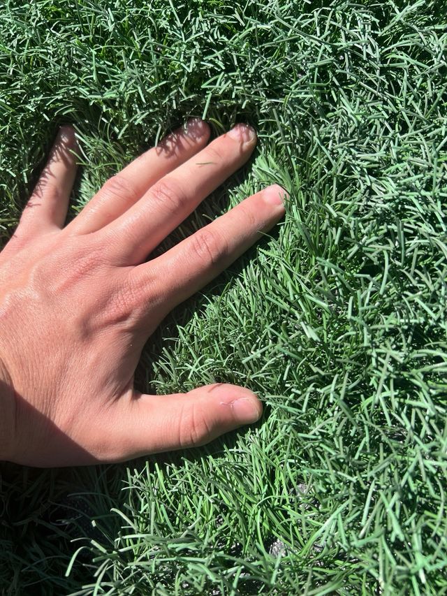 Cesped artificial reutilizado