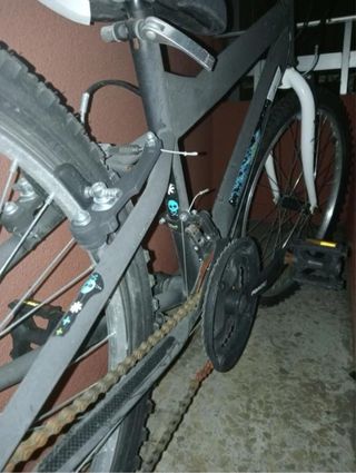 Bicicletas