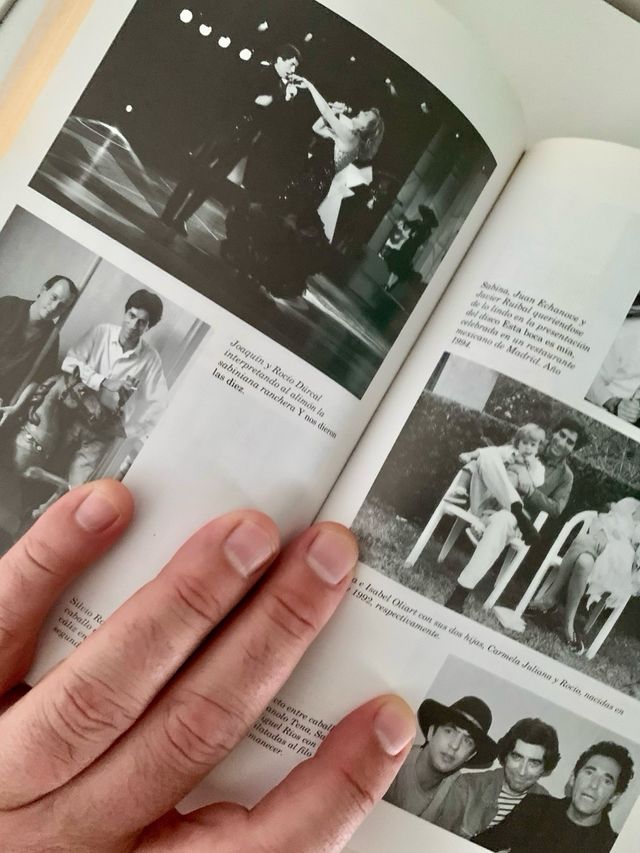 JOAQUIN SABINA - Perdón Por La Tristeza (libro)