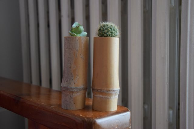 Vasi in bambù con piantina