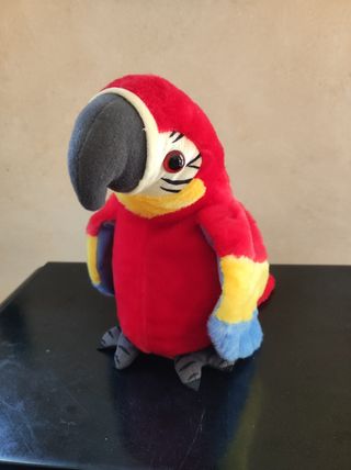Pappagallo parlante