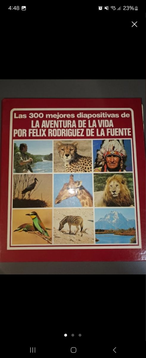 Proyector día positiva