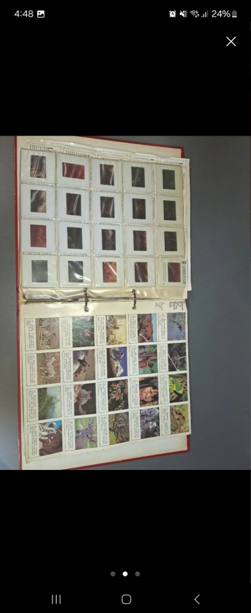 Proyector día positiva