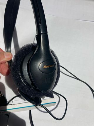 Cuffie stereo con spinotto a due ingressi.