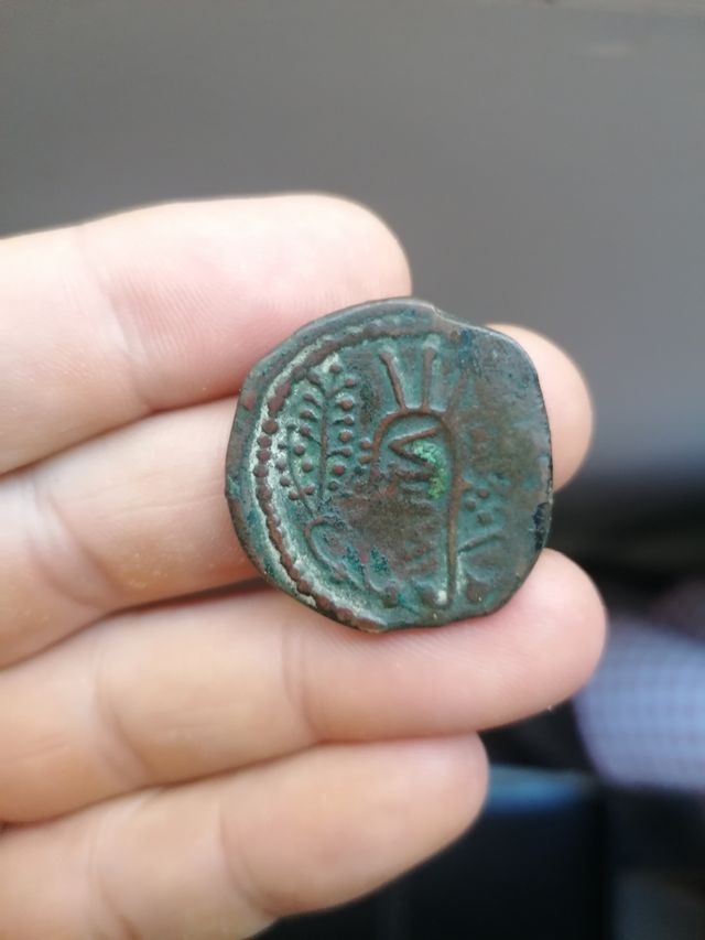 Moneda ibérica AS Ulia, cordoba