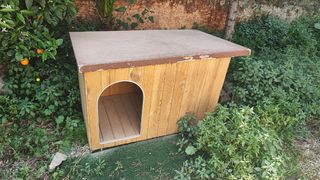 Casa para perro