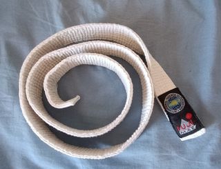 Dogo taekondo FUJI completo y camiseta manga corta
