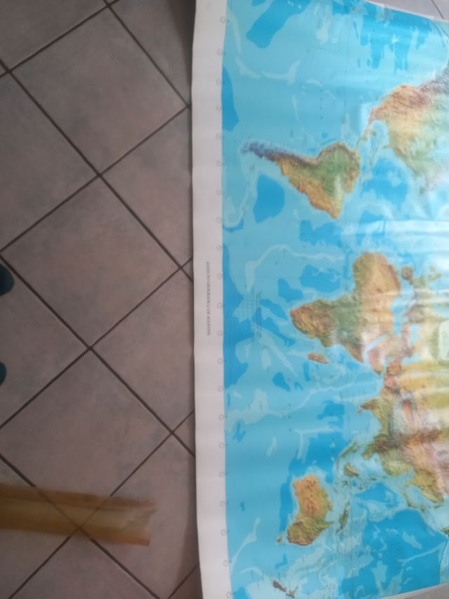 Cartina fisico politica della Terra