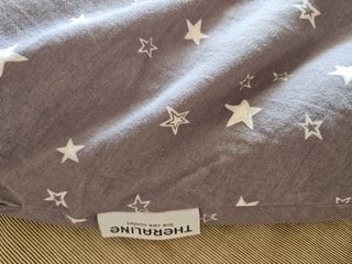 COJIN DE LACTANCIA THERALINE