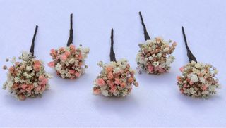 Horquillas de paniculata preservada