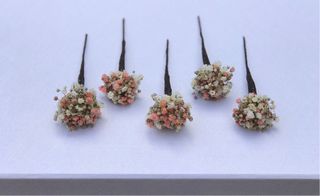 Horquillas de paniculata preservada