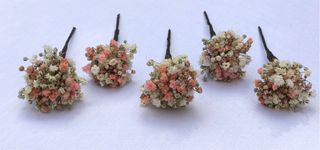 Horquillas de paniculata preservada