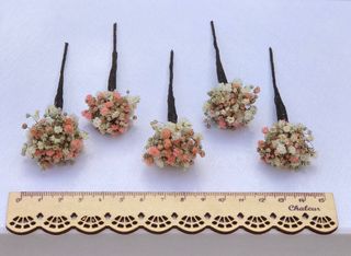 Horquillas de paniculata preservada