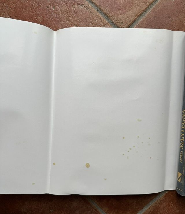 Libro arte Andrea Mantegna pittura catalogo mostra