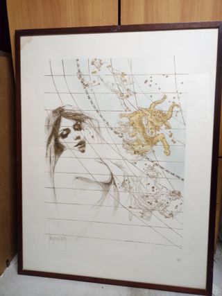 quadro in litografia