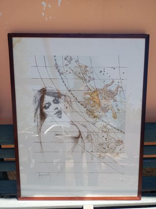 quadro in litografia