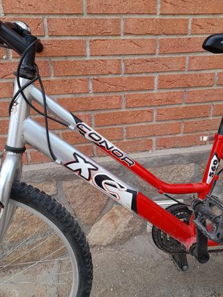 Bicicleta montaña de adolescente.