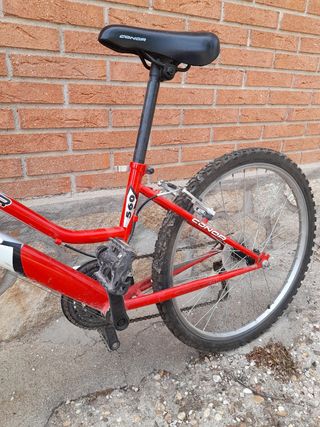 Bicicleta montaña de adolescente.