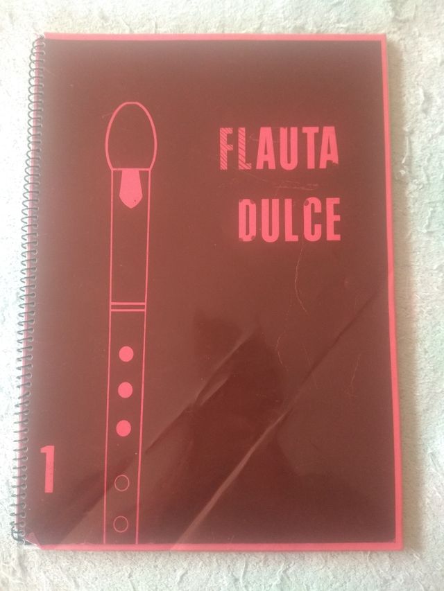 Libro para aprender flauta dulce