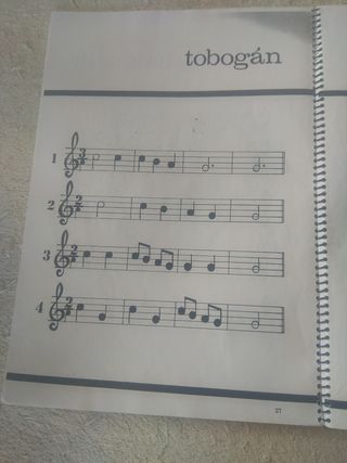 Libro para aprender flauta dulce 