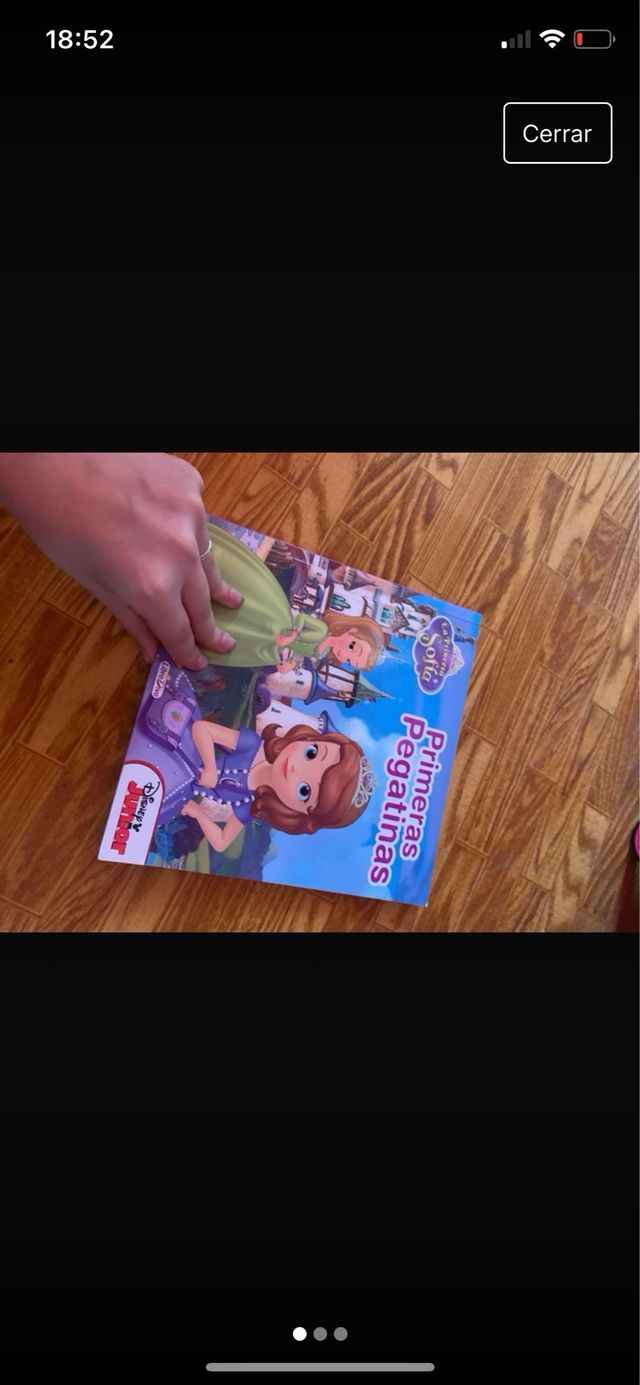 Libro creativo con pegatinas la princesa sofia