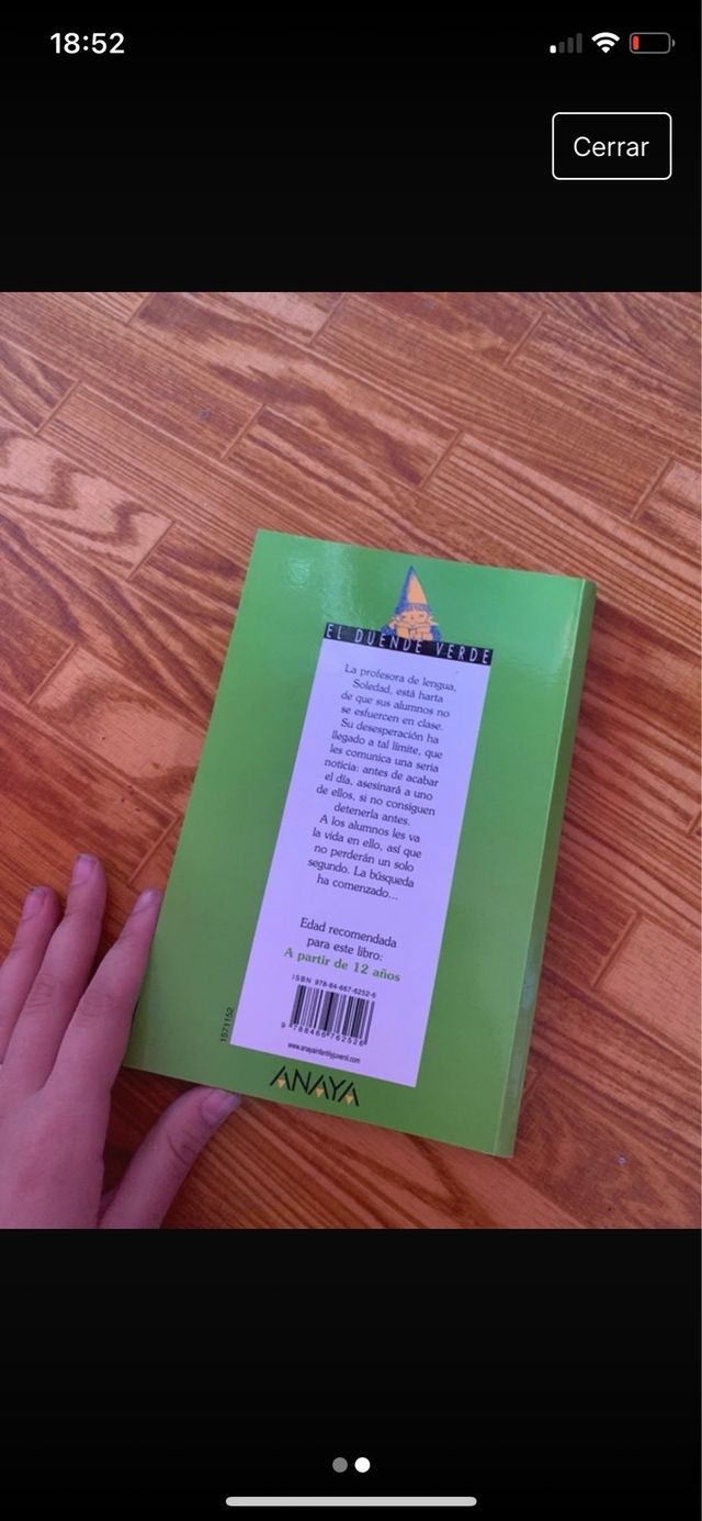 Libro el asesinato a la profesora de lengua