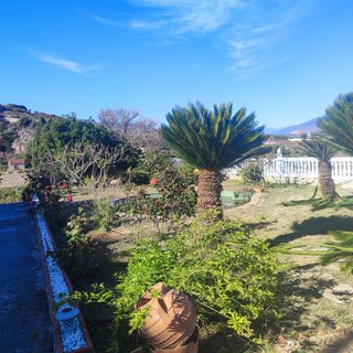 Jardinería