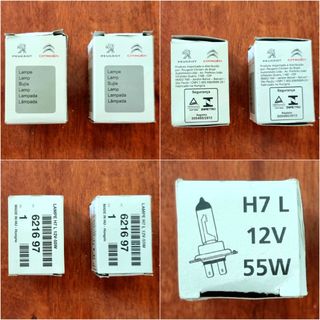 Lampadine Auto originali Citroen Philips