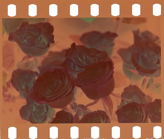 Carrete color vision 3 250D 27 expo