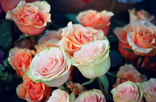 Carrete color vision 3 250D 27 expo