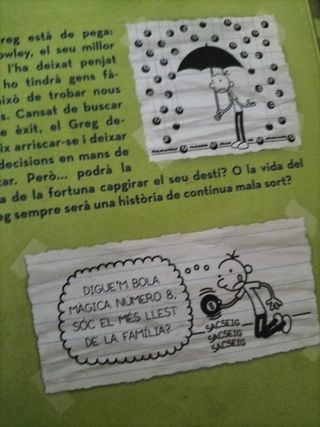 Diari de Greg num.8