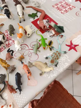 Lotto animali