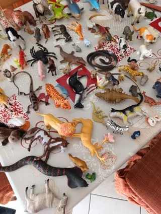 Lotto animali