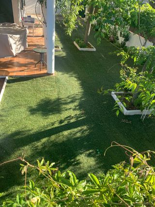 Césped ♻️ gran calidad