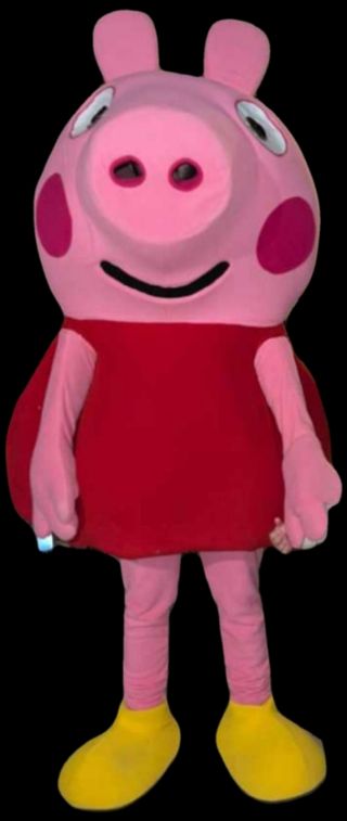 Alquiler disfraz stich