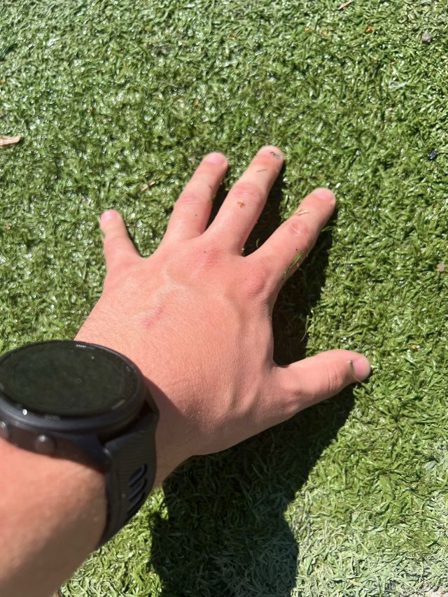 Cesped artificial economico